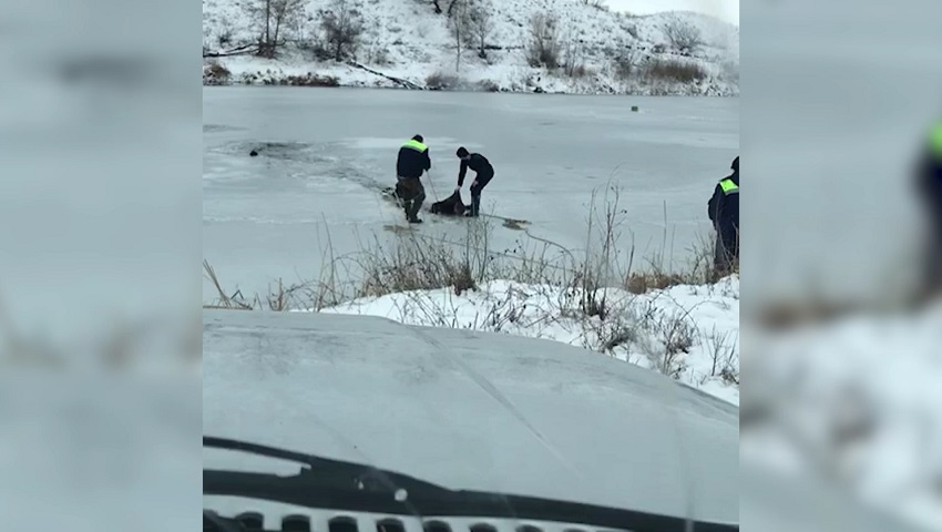 Пытался спасти: под Волгоградом двое мужчин утонули на рыбалке